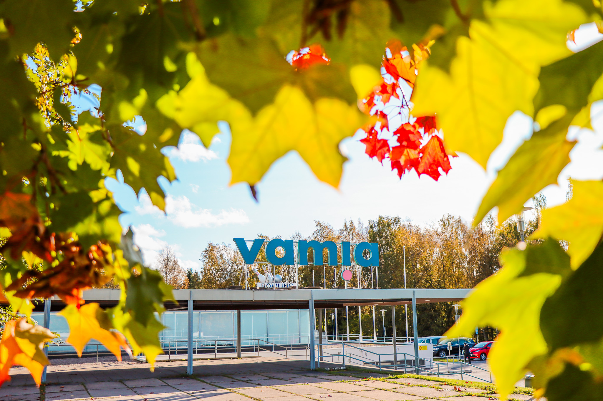 Syksyinen kuva Vamian pihalta. Taustalla Vamia-kyltti ja edessä ruskan värisiä puunlehtiä.